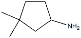 2-Amino-4.4-dimethylcyclopentane Structure