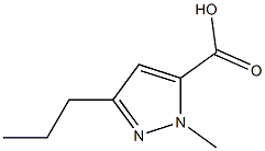 1-methyl-3-n-propyl-5-pyrazolecarboxylic acid Structure