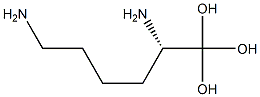 Lysine acetal Structure