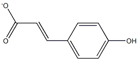P-hydroxycinnamate Structure
