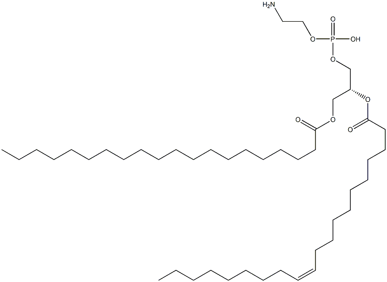 2-aminoethoxy-[(2R)-3-icosanoyloxy-2-[(Z)-icos-11-enoyl]oxy-propoxy]phosphinic acid 구조식 이미지