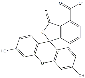 fluorescein carboxylate 구조식 이미지