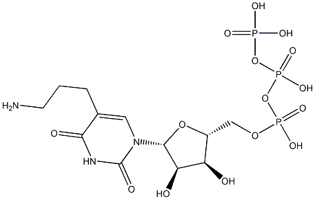 5-(3-aminopropyl)uridine triphosphate Structure