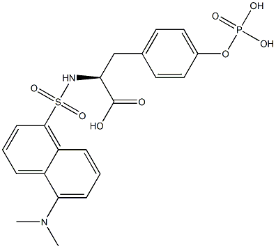 N-(5-(dimethylamino)naphthylsulfonyl)phosphotyrosine Structure