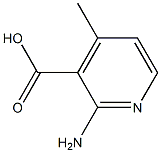 2-Amino-4-methylpyridine-3-carboxylic acid Structure