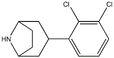 3-(2,3-dichlorophenyl)-8-azabicyclo[3.2.1]octane Structure