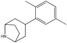 3-(2,5-dimethylphenyl)-8-azabicyclo[3.2.1]octane 구조식 이미지