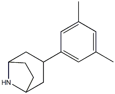 3-(3,5-dimethylphenyl)-8-azabicyclo[3.2.1]octane 구조식 이미지