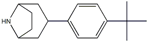 3-(4-tert-butylphenyl)-8-azabicyclo[3.2.1]octane 구조식 이미지