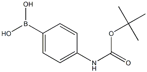 4-(N-tertbutoxycarbonyl)Aminophenylboronicacid 구조식 이미지