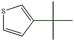 3-(1,1-dimethylethyl)thiophene 구조식 이미지