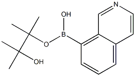 ISOQUINOLINE-8-BORONIC ACID PINACOL ESTER 구조식 이미지