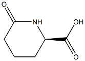 R/S-6-OXO-PIPERIDINE-2-CARBOXYLIC ACID Structure