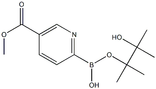 5-(METHOXYCARBONYL)PYRIDINE-2-BORONIC ACID PINACOL ESTER Structure