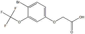 (4-BROMO-3-TRIFLUOROMETHOXY-PHENOXY)-ACETIC ACID Structure