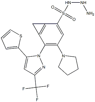 N1-hydrazino(tetrahydro-1H-pyrrol-1-yl)methylidene-4-[5-(2-thienyl)-3-(trifluoromethyl)-1H-pyrazol-1-yl]benzene-1-sulfonamide 구조식 이미지