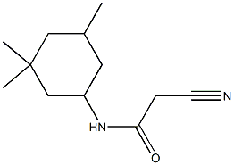 N1-(3,3,5-trimethylcyclohexyl)-2-cyanoacetamide 구조식 이미지