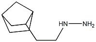 1-(2-(bicyclo[2.2.1]heptan-2-yl)ethyl)hydrazine 구조식 이미지