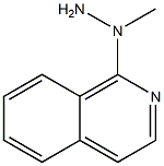 1-(isoquinolin-1-yl)-1-methylhydrazine Structure