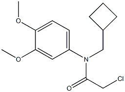 2-chloro-N-(cyclobutylmethyl)-N-(3,4-dimethoxyphenyl)acetamide Structure
