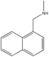 N-METHYL-1-NAPHTHALENMETHYLAMINE 구조식 이미지