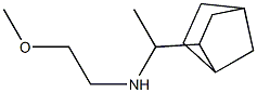 (1-{bicyclo[2.2.1]heptan-2-yl}ethyl)(2-methoxyethyl)amine Structure