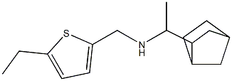 (1-{bicyclo[2.2.1]heptan-2-yl}ethyl)[(5-ethylthiophen-2-yl)methyl]amine 구조식 이미지