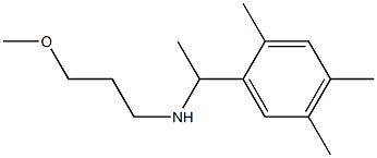 (3-methoxypropyl)[1-(2,4,5-trimethylphenyl)ethyl]amine Structure