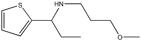 (3-methoxypropyl)[1-(thiophen-2-yl)propyl]amine 구조식 이미지