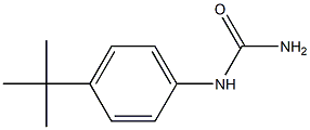 (4-tert-butylphenyl)urea 구조식 이미지