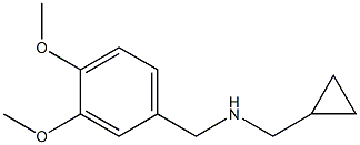 (cyclopropylmethyl)[(3,4-dimethoxyphenyl)methyl]amine Structure