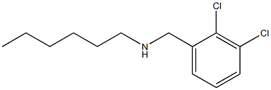 [(2,3-dichlorophenyl)methyl](hexyl)amine 구조식 이미지