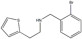 [(2-bromophenyl)methyl][2-(thiophen-2-yl)ethyl]amine 구조식 이미지
