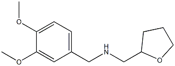 [(3,4-dimethoxyphenyl)methyl](oxolan-2-ylmethyl)amine 구조식 이미지