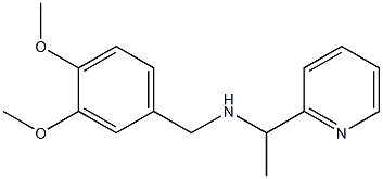 [(3,4-dimethoxyphenyl)methyl][1-(pyridin-2-yl)ethyl]amine Structure