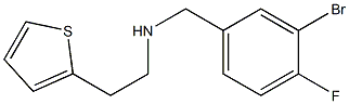 [(3-bromo-4-fluorophenyl)methyl][2-(thiophen-2-yl)ethyl]amine Structure