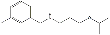 [(3-methylphenyl)methyl][3-(propan-2-yloxy)propyl]amine Structure