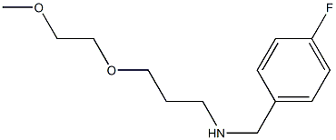 [(4-fluorophenyl)methyl][3-(2-methoxyethoxy)propyl]amine 구조식 이미지