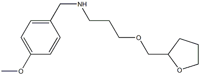 [(4-methoxyphenyl)methyl][3-(oxolan-2-ylmethoxy)propyl]amine 구조식 이미지