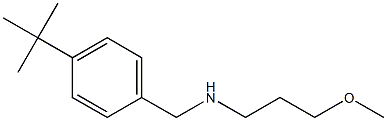 [(4-tert-butylphenyl)methyl](3-methoxypropyl)amine 구조식 이미지