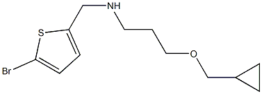 [(5-bromothiophen-2-yl)methyl][3-(cyclopropylmethoxy)propyl]amine 구조식 이미지