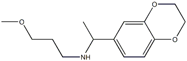 [1-(2,3-dihydro-1,4-benzodioxin-6-yl)ethyl](3-methoxypropyl)amine Structure