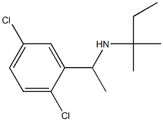 [1-(2,5-dichlorophenyl)ethyl](2-methylbutan-2-yl)amine 구조식 이미지