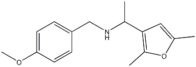 [1-(2,5-dimethylfuran-3-yl)ethyl][(4-methoxyphenyl)methyl]amine Structure