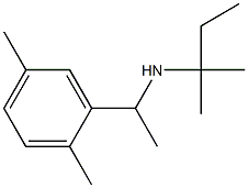 [1-(2,5-dimethylphenyl)ethyl](2-methylbutan-2-yl)amine Structure