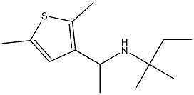 [1-(2,5-dimethylthiophen-3-yl)ethyl](2-methylbutan-2-yl)amine 구조식 이미지
