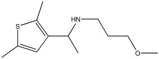 [1-(2,5-dimethylthiophen-3-yl)ethyl](3-methoxypropyl)amine 구조식 이미지