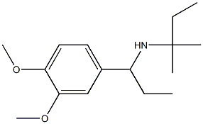 [1-(3,4-dimethoxyphenyl)propyl](2-methylbutan-2-yl)amine Structure