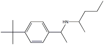 [1-(4-tert-butylphenyl)ethyl](pentan-2-yl)amine 구조식 이미지
