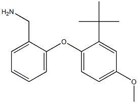 [2-(2-tert-butyl-4-methoxyphenoxy)phenyl]methanamine 구조식 이미지